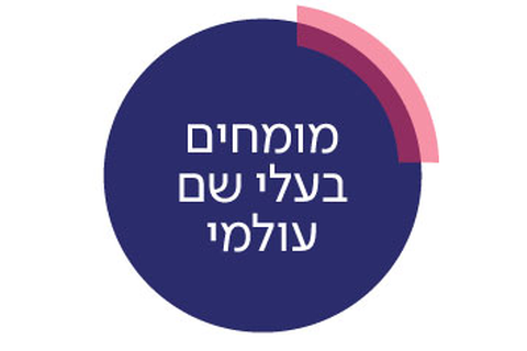 ביצוע על ידי מומחי שיבא